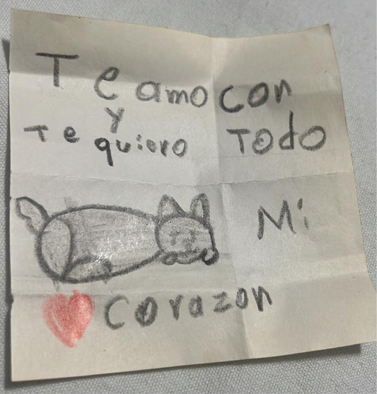 Todo mi Corazón
